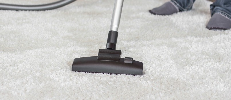 Carpet Cleaning Services in Mankato, MN